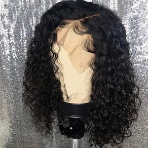 Lace front wig 100 percent human hair